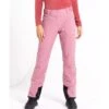 Womens Dare2b EFFUSED II MESA ROSE PINK Soft Shell Ski Pant- REG LEG -Cheap Ski Store bc2352bd25234587671f5638fe8aa610 1