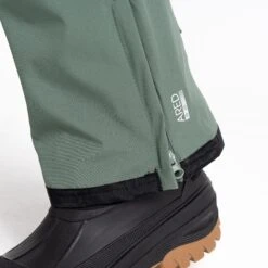Mens Dare2b ACHIEVE II DUCK GREEN Soft Shell Ski Pant- SHORT LEG EXCLUSIVE -Cheap Ski Store db51744ad1ddd92a19722ee2b0114567 1
